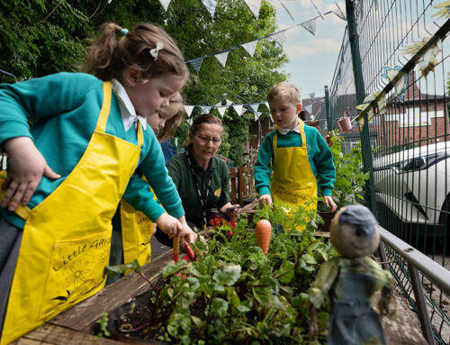 Growing Veg and Flowers