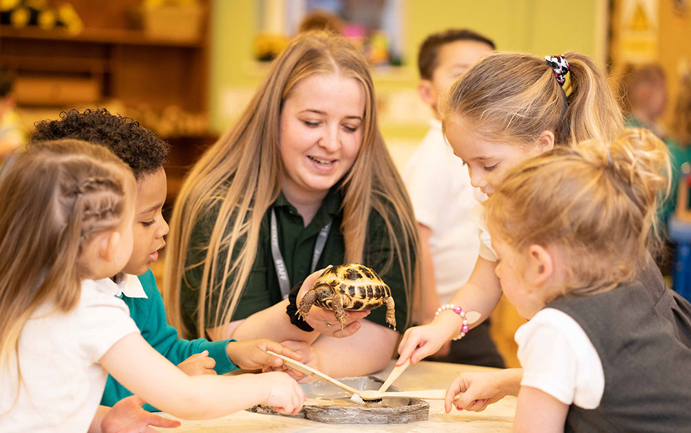 our-pet-tortoise our-pet-tortoise