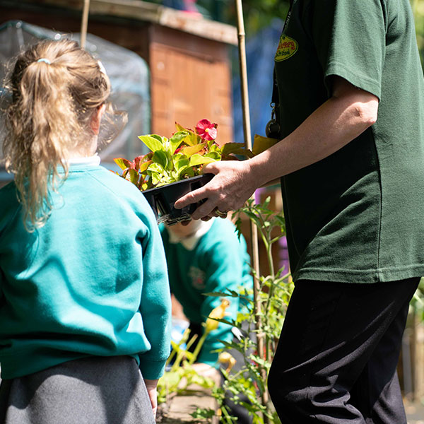 planting-flowers